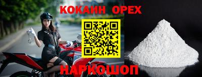 бошки Шелехов