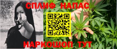 бошки Шелехов