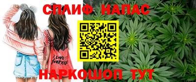 спиды Шебекино