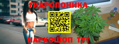 спиды Шебекино
