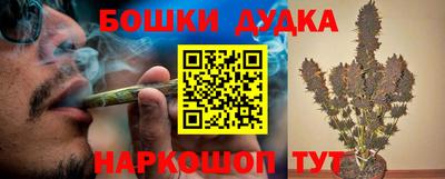 сатива Шахты