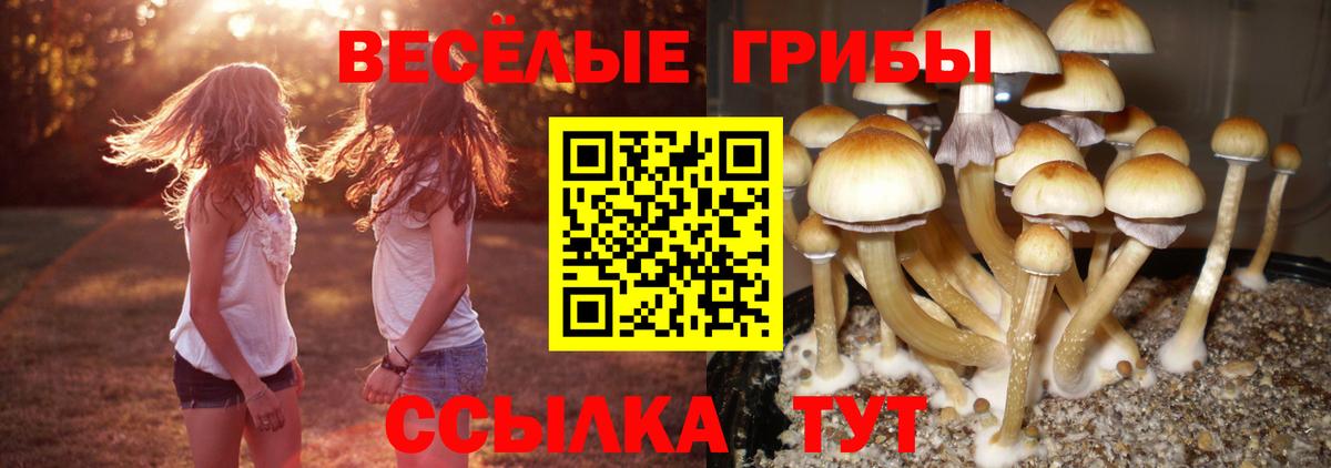 Галлюциногенные грибы мицелий  Вход с VPN  Белогорск 