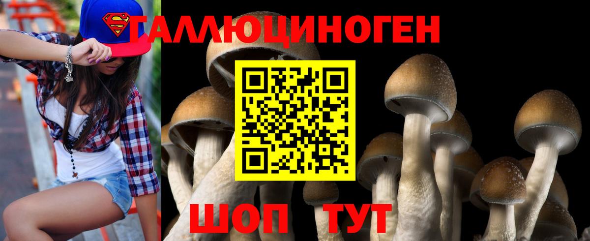 Псилоцибиновые грибы Magic Shrooms Белогорск